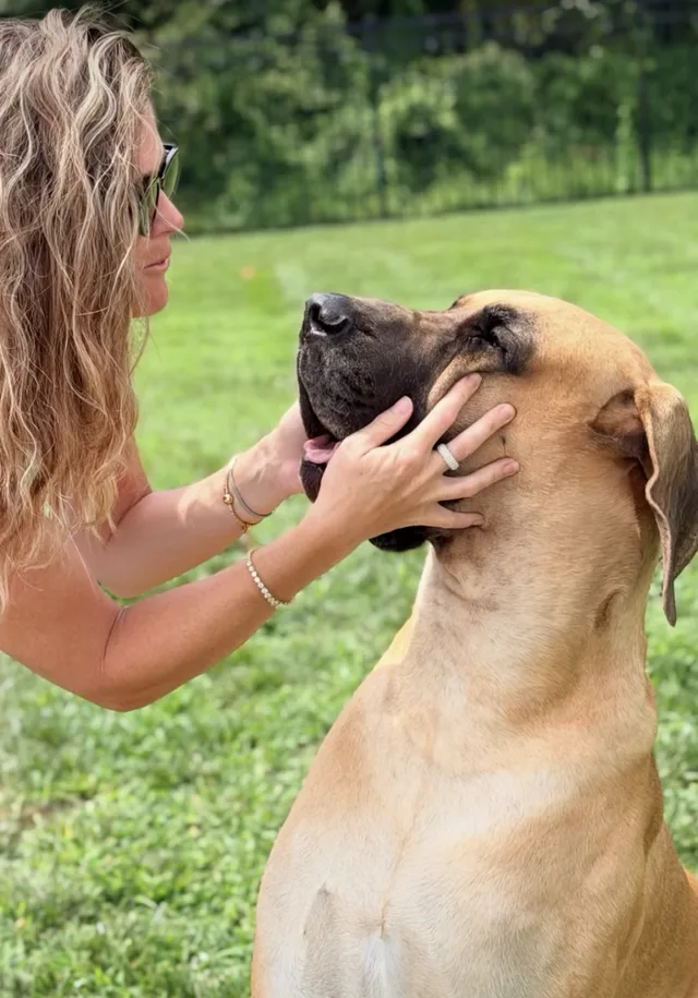 Michelle holding Rex the Great Dane's face in the backyard